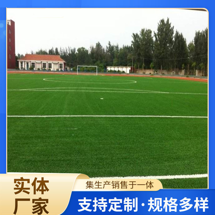 遂宁市硅PU人造草坪 - 厂家